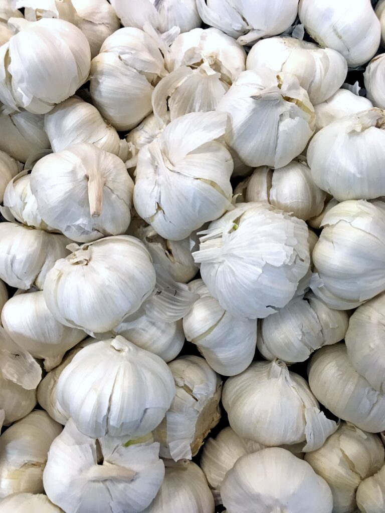 The Joy of Growing Garlic: A Comprehensive Guide for Garden Enthusiasts